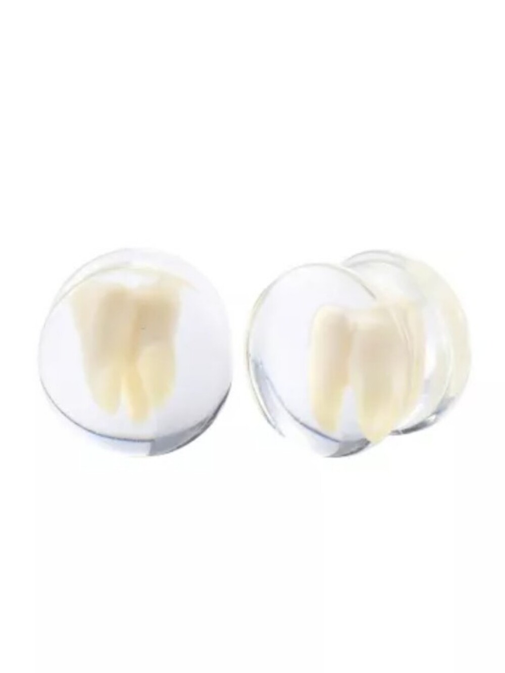 Tooth Resin Double Flare Plugs